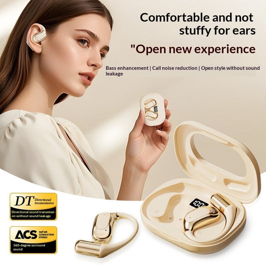 AI Translation Bluetooth Earbuds with Ear Hooks and Charging Case