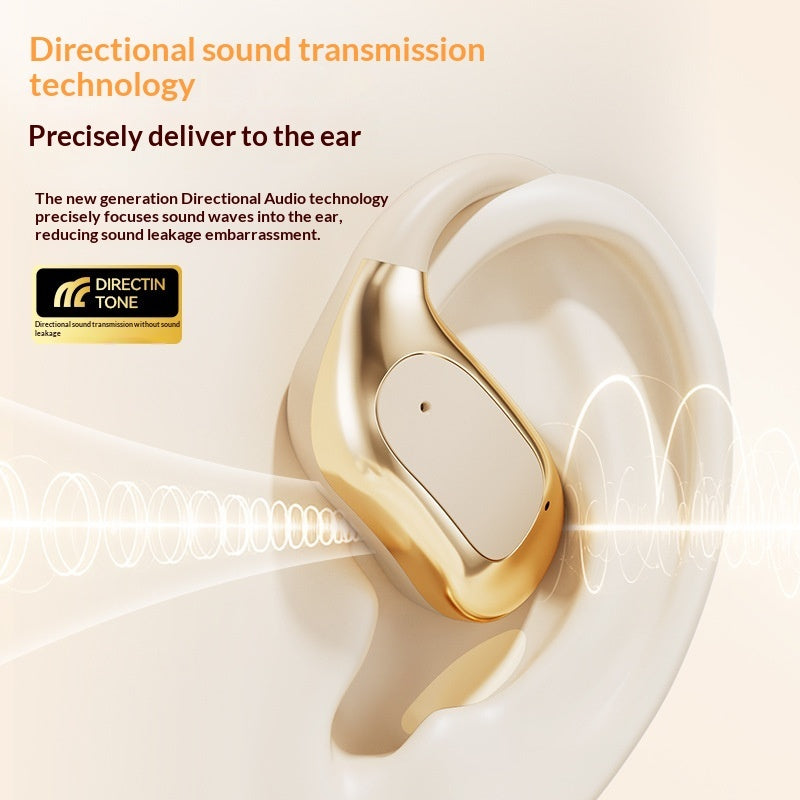 AI Translation Bluetooth Earbuds with Ear Hooks and Charging Case