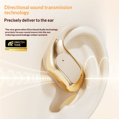 AI Translation Bluetooth Earbuds with Ear Hooks and Charging Case