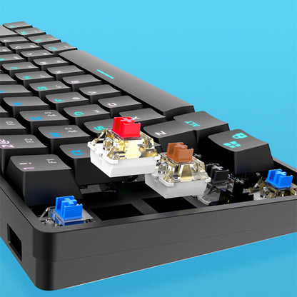 Wireless RGB Mechanical Gaming Keyboard with PBT Keycaps