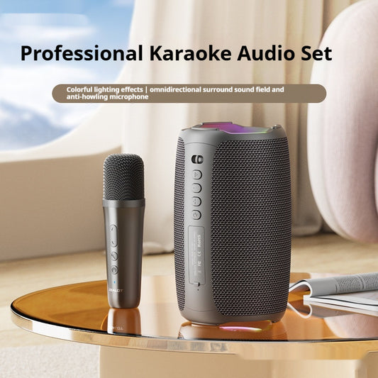 Portable Bluetooth Karaoke Speaker with Wireless Microphone