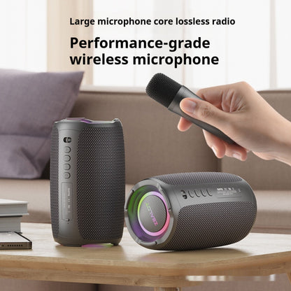 Portable Bluetooth Karaoke Speaker with Wireless Microphone